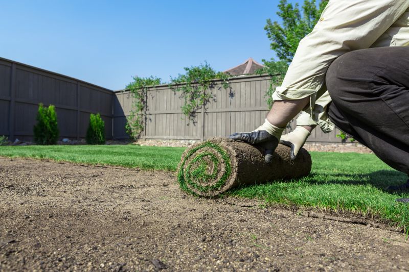 Lawn Border Installation detail